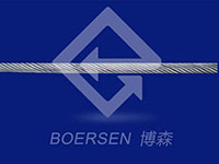 Supplementary articles