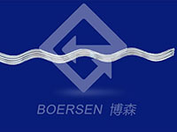 Supplementary articles